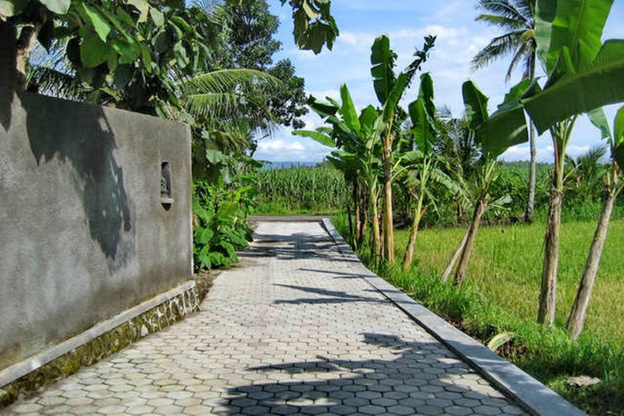 The Sawah Home Hotel Yogyakarta Exterior foto